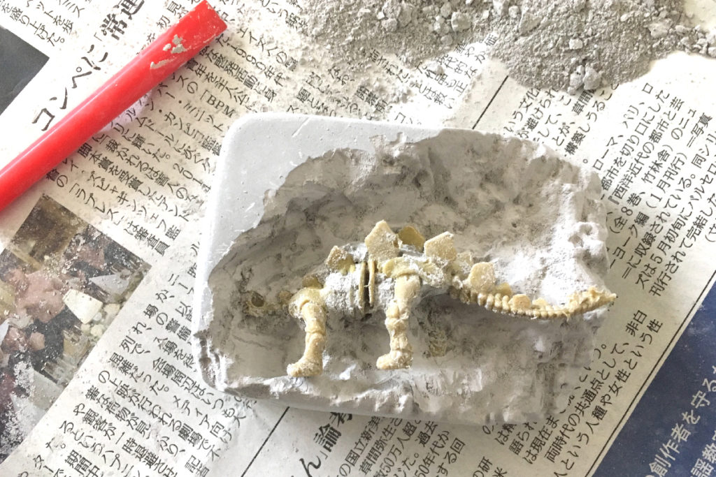 キャンドゥ 百均の発掘シリーズ 「恐竜の化石」
